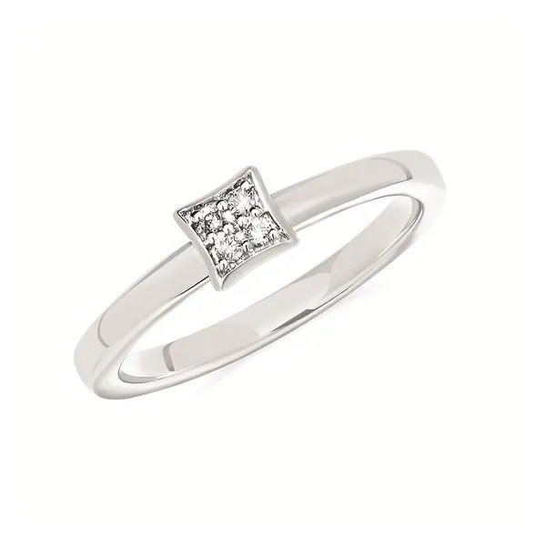 SILVER & DIAMOND RING Erickson Jewelers Iron Mountain, MI