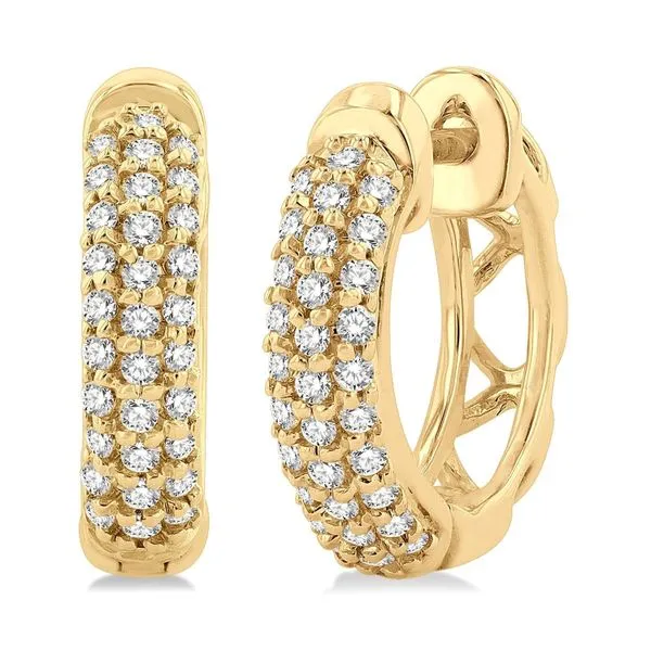 DIAMOND EARRINGS Erickson Jewelers Iron Mountain, MI