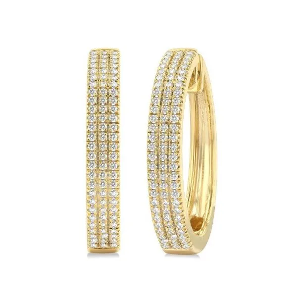 10Kt Yellow Diamond Hoop Earrings Erickson Jewelers Iron Mountain, MI