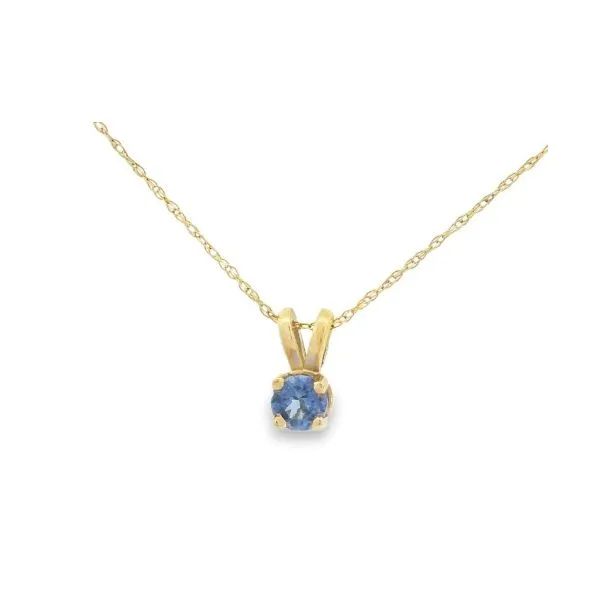 14Kt Yellow Gold Tanzanite Necklace Erickson Jewelers Iron Mountain, MI