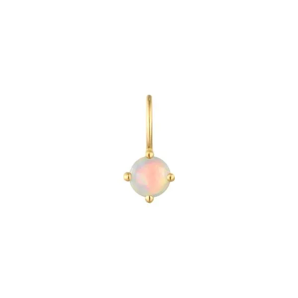 October Birthstone Charm Erickson Jewelers Iron Mountain, MI
