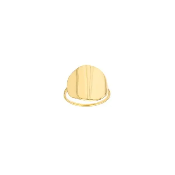 YELLOW GOLD FASHION RING Erickson Jewelers Iron Mountain, MI