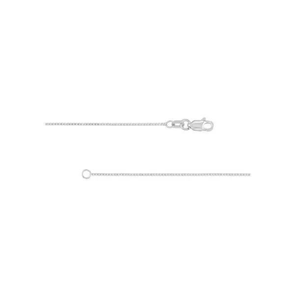 14Kt White Gold Box Chain Erickson Jewelers Iron Mountain, MI