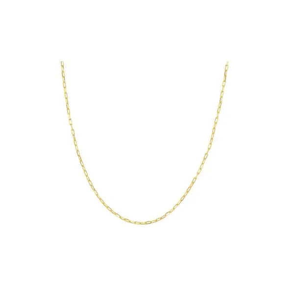 14K Yellow Gold Paperclip Chain Erickson Jewelers Iron Mountain, MI