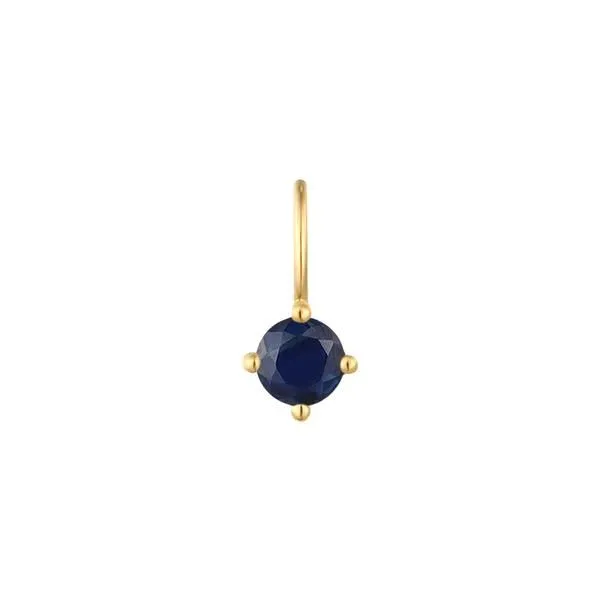 14K Yellow Gold September Blue Sapphire Charm Erickson Jewelers Iron Mountain, MI