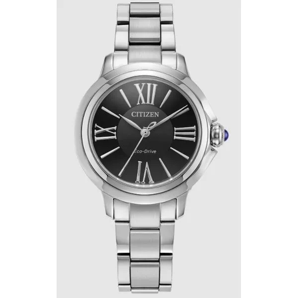 Silver-Tone Stainless Steel Ladies Citizen Watch Erickson Jewelers Iron Mountain, MI