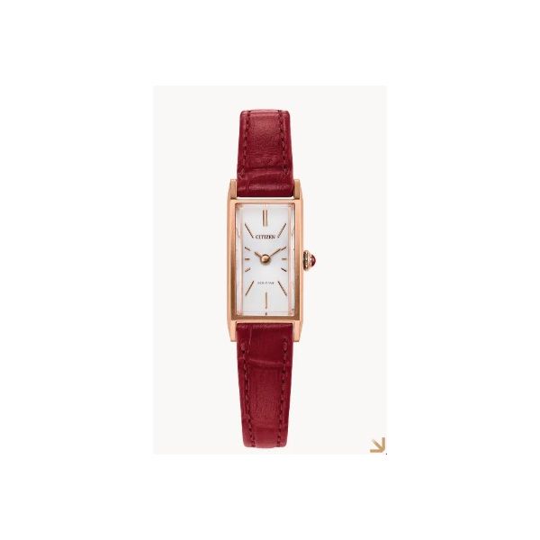 CITIZEN WATCH Erickson Jewelers Iron Mountain, MI