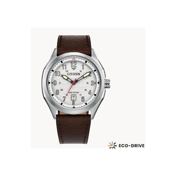 Silver-Tone Stainless Steel Citizen Watch Erickson Jewelers Iron Mountain, MI