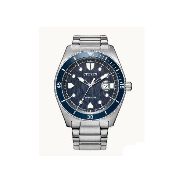 Silver-Tone Stainless Steel Citizen Watch Erickson Jewelers Iron Mountain, MI