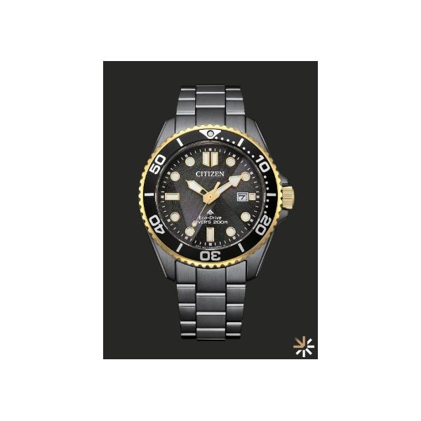 Citizen Limited Edition Diver Watch Erickson Jewelers Iron Mountain, MI