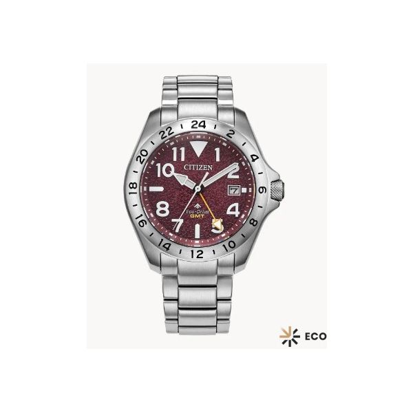 Citizen Stainless Steel GMT Watch Erickson Jewelers Iron Mountain, MI