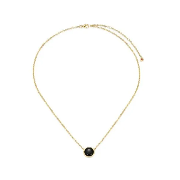 Sterling Silver Yellow Gold Plated Black Agate Necklace Erickson Jewelers Iron Mountain, MI