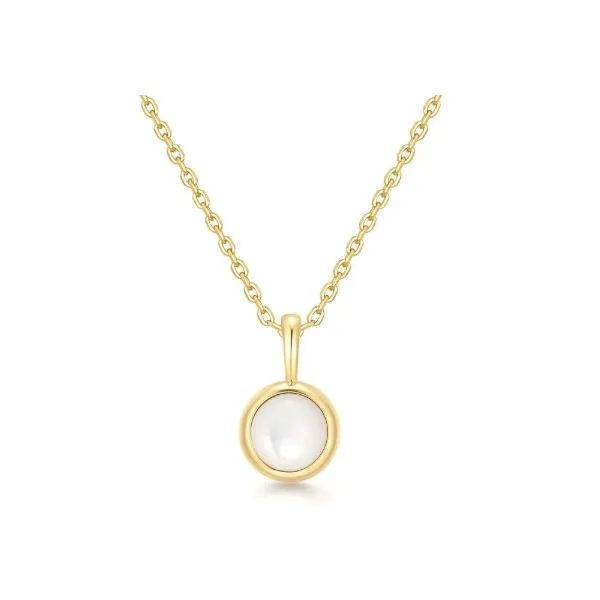 Sterling Silver Yellow Gold Mother of Pearl Sparkle Pendant Necklace Erickson Jewelers Iron Mountain, MI