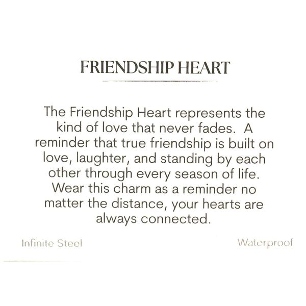 Stainless Steel T. Jazelle Aqua Agate Friendship Heart Bracelet Image 2 Erickson Jewelers Iron Mountain, MI