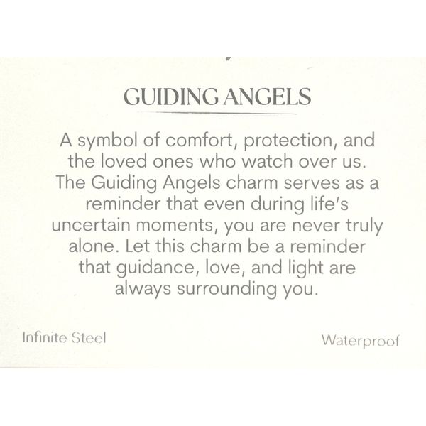 Stainless Steel T. Jazelle Aqua Agate Guiding Angels Bracelet Image 2 Erickson Jewelers Iron Mountain, MI