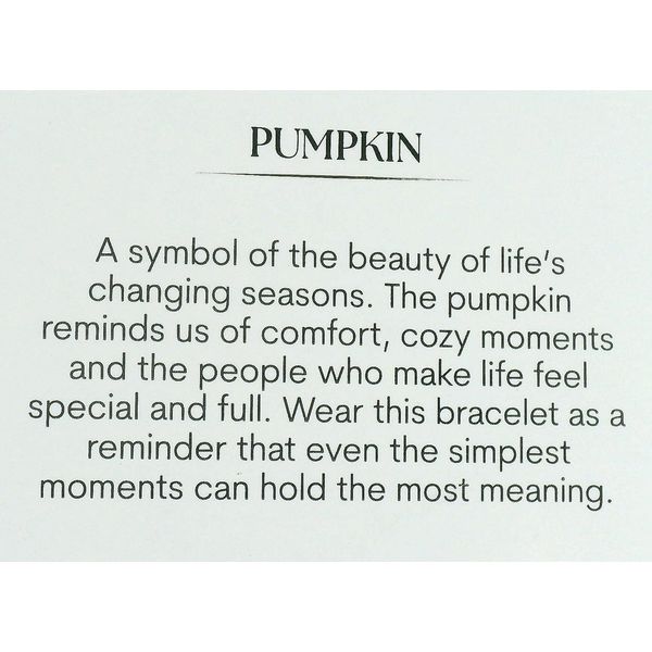 Blue Turquoise Pumpkin Stainless T. Jazelle Bracelet Image 2 Erickson Jewelers Iron Mountain, MI