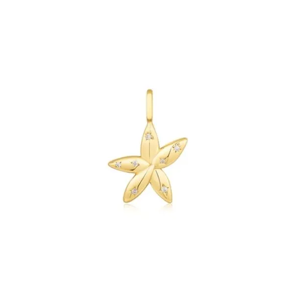 Silver and Yellow Gold CZ Flower Star Charm Erickson Jewelers Iron Mountain, MI