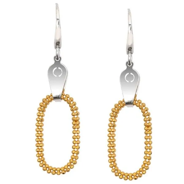 Sterling Silver and Yellow Gold Plated Drop Camile Earrings Erickson Jewelers Iron Mountain, MI