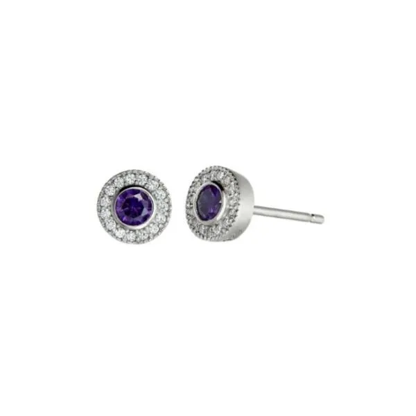 BIRTHSTONE EARRINGS Erickson Jewelers Iron Mountain, MI