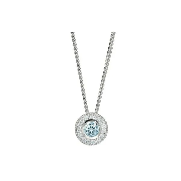 BIRTHSTONE NECKLACE Erickson Jewelers Iron Mountain, MI