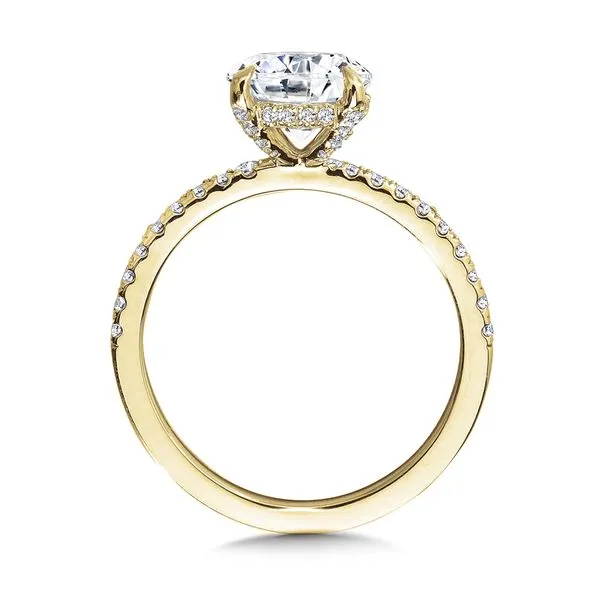 Lab-Grown Diamond Engagement Ring Image 2 Falls Jewelers Concord, NC