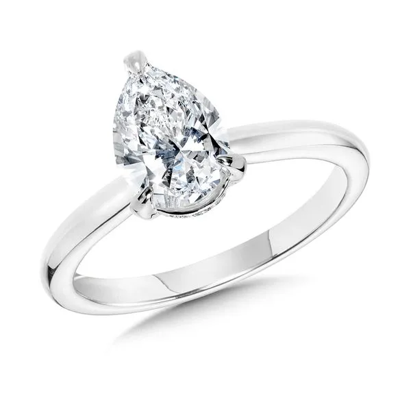 Lab-Grown Diamond Engagement Ring Falls Jewelers Concord, NC
