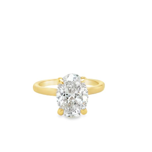 Lab-Grown Diamond Engagement Ring Falls Jewelers Concord, NC