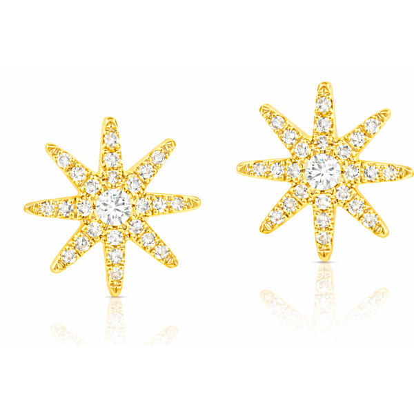 Diamond Fashion Earrings Falls Jewelers Concord, NC