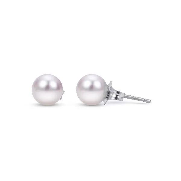 14K White Gold Akoya Pearl Stud Earrings Falls Jewelers Concord, NC