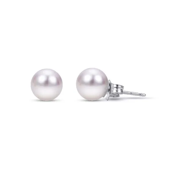 14K White Gold Akoya Pearl Stud Earrings Falls Jewelers Concord, NC