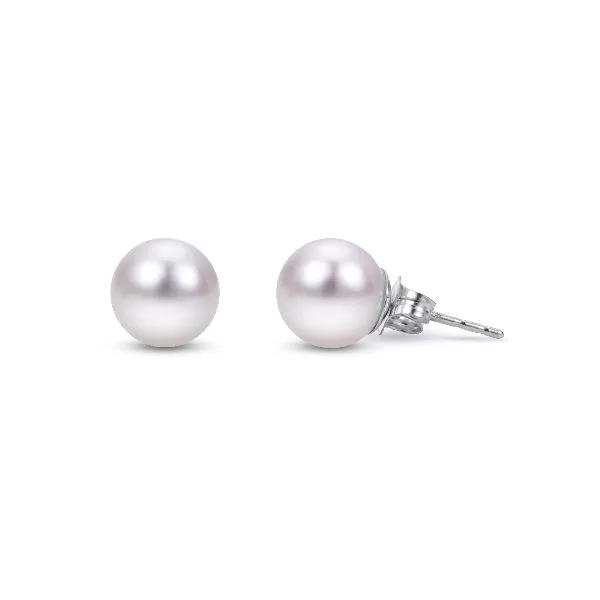 14K White Gold Akoya Pearl Stud Earrings Falls Jewelers Concord, NC