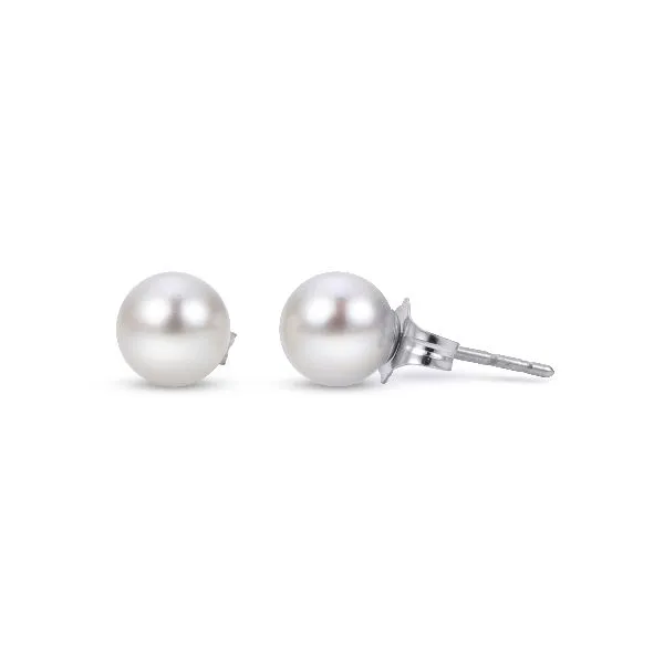 14K White Gold Freshwater Pearl Stud Earrings Falls Jewelers Concord, NC