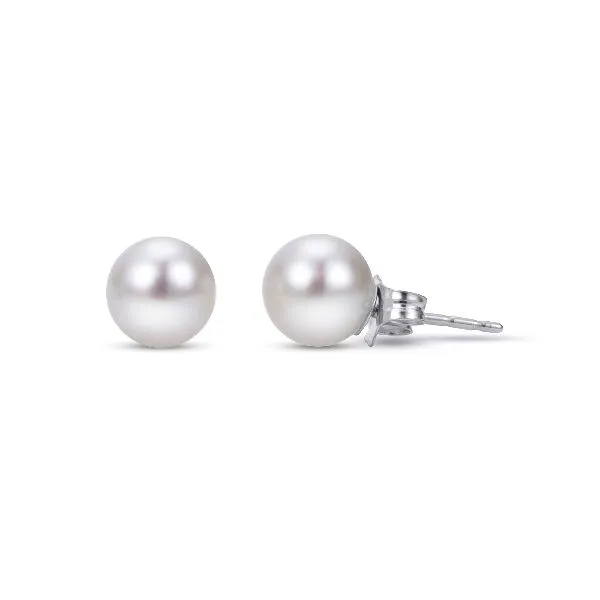 14K White Gold Freshwater Pearl Stud Earrings Falls Jewelers Concord, NC