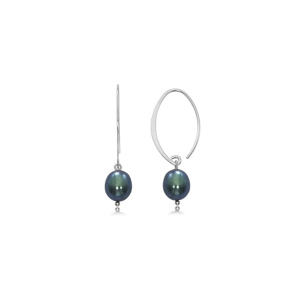SS SMALL SIMPLE SWEEP BLACK FWP Falls Jewelers Concord, NC
