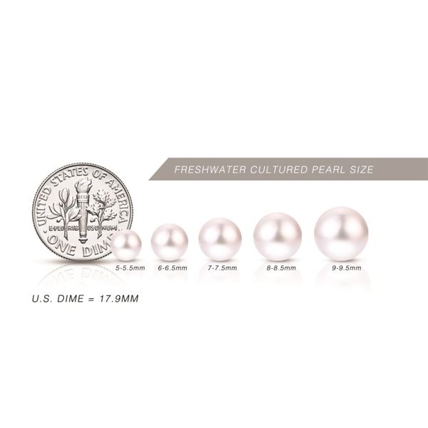 14K White Gold Freshwater Pearl Stud Earrings Image 2 Falls Jewelers Concord, NC