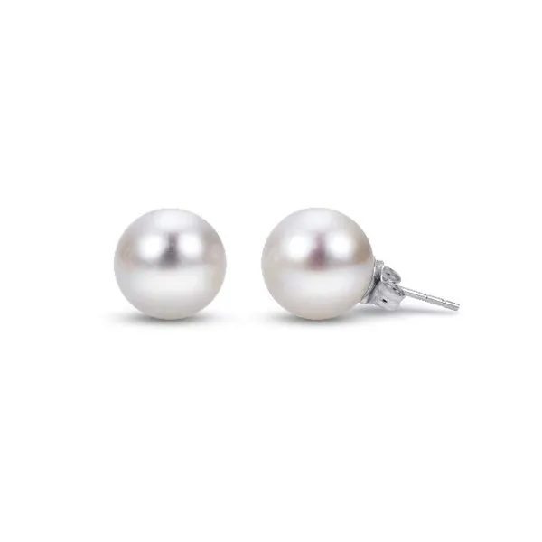 14K White Gold Freshwater Pearl Stud Earrings Falls Jewelers Concord, NC