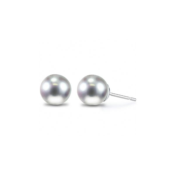 14K White Gold Pearl Stud Earrings Falls Jewelers Concord, NC