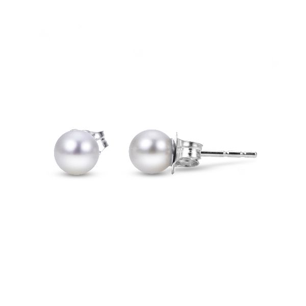 14K White Gold Freshwater Pearl Stud Earrings Falls Jewelers Concord, NC