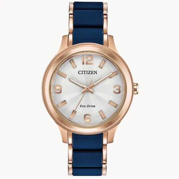 Lady's Citizen Eco-Drive Watch Falls Jewelers Concord, NC