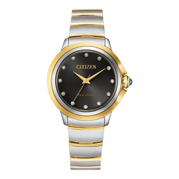 Womens Two-Tone Citizen Eco-Drive Watch