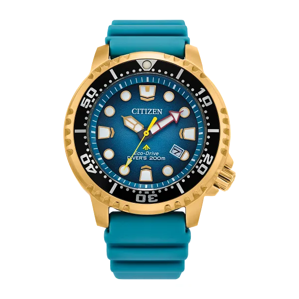 Promaster Dive Falls Jewelers Concord, NC