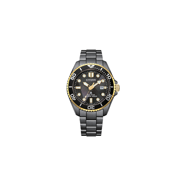 Promaster Dive LIGHT in BLACK Falls Jewelers Concord, NC
