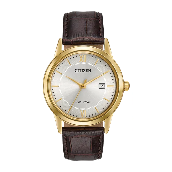 Men's Leather and Gold-Tone Stainless Steel Citizen Eco-Drive Falls Jewelers Concord, NC