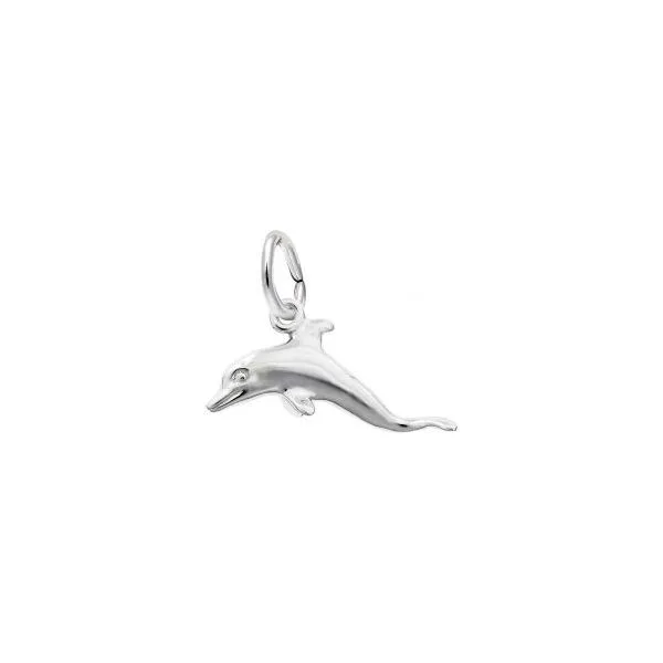 Sterling Silver Dolphin Charm Falls Jewelers Concord, NC