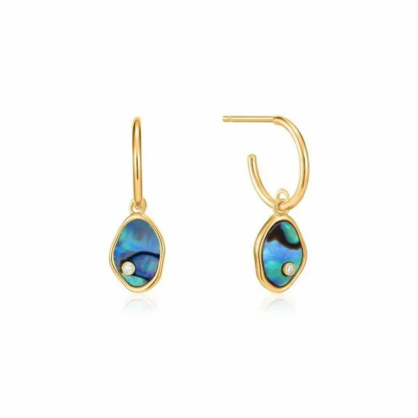 Gold Tidal Abalone Mini Hoop Earrings Falls Jewelers Concord, NC