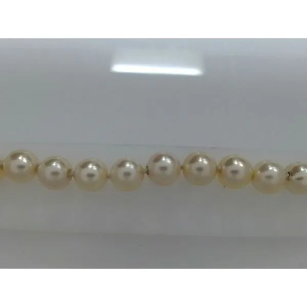 Bracelet Fanedos Jewelry  FAIRFIELD, CT