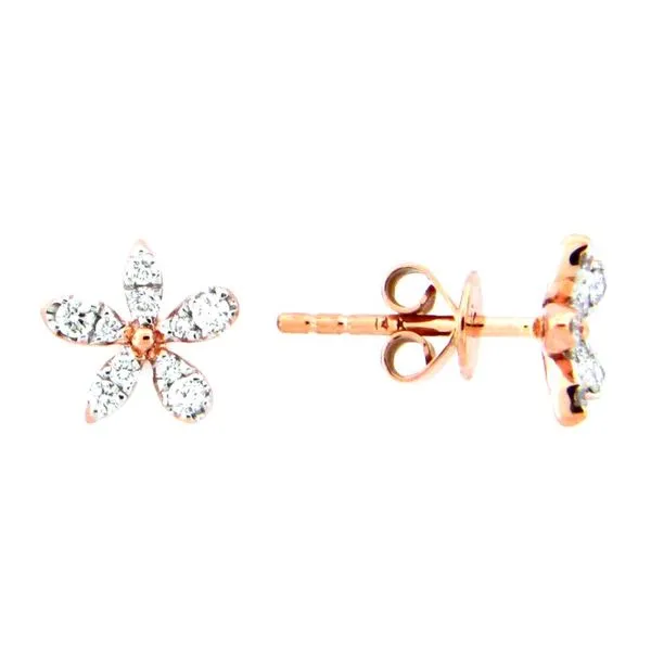 Earrings Farnan Jewelers Wayne, PA