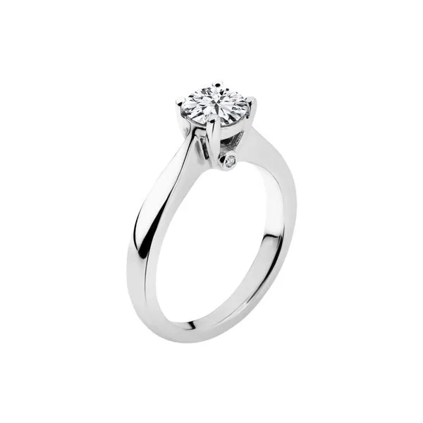 Remount Farnan Jewelers Wayne, PA