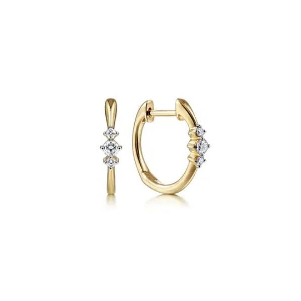 Diamond Earrings Flora Gems Decatur, IL