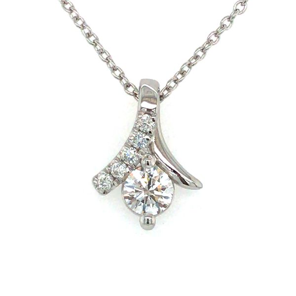 Lab Grown Diamond Necklace Flora Gems Decatur, IL